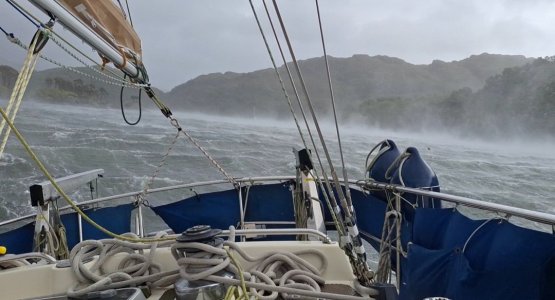 Screenshot_20260111_121448_Gallery.jpg Screenshot_20260111_121448_Gallery.jpg