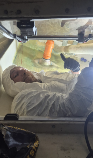 30.G40 free dom 2.png