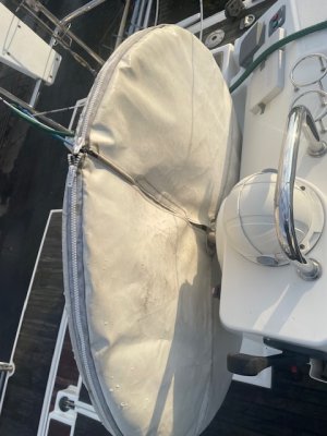 IMG_5710.jpeg IMG_5710.jpeg