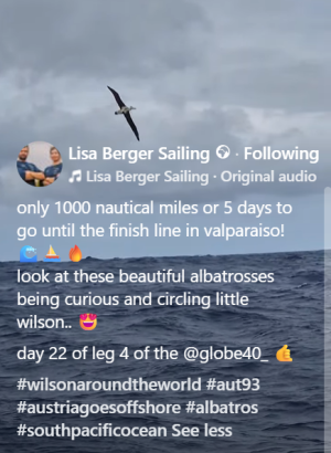 103b wilson words and albatross.png 103b wilson words and albatross.png