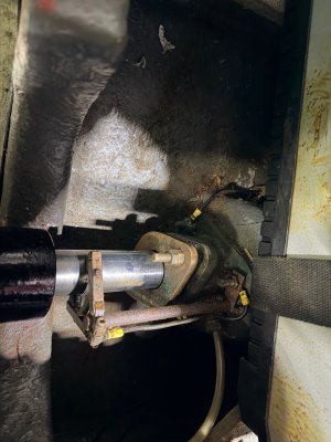 IMG_0420.jpeg IMG_0420.jpeg