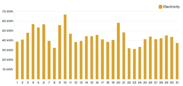 jan_elec.jpg jan_elec.jpg