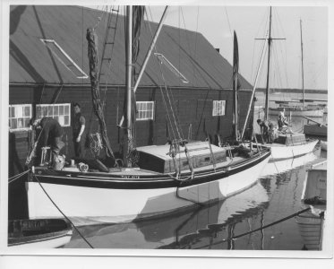 Smaller Tiny Mite and Doreen alongside the old black shed .jpeg Smaller Tiny Mite and Doreen alongside the old black shed .jpeg