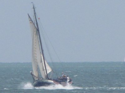 Barge yact Texel.JPG Barge yact Texel.JPG