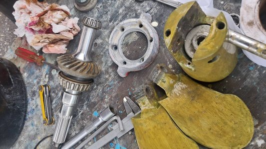 117  626683614_1313050560864197_8128177381342097385_n.jpg