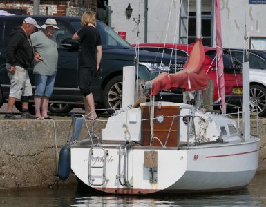 Red Fox Emsworth 2 35.P1000689(1).JPG