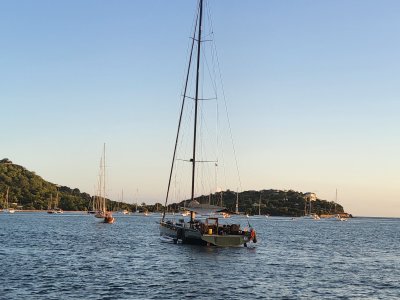 20260206_174835.jpg 20260206_174835.jpg