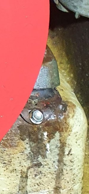 1000011942.jpg 1000011942.jpg