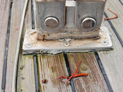 IMG_2592-2.jpg IMG_2592-2.jpg