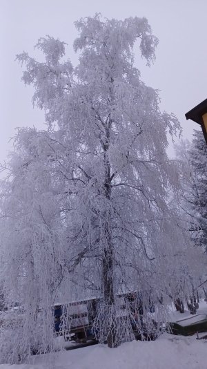 WhatsApp Image 2026-01-21 at 09.01.21.jpeg