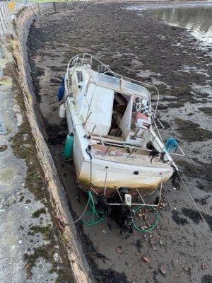 IMG_4248.jpeg IMG_4248.jpeg