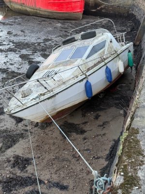 IMG_4250.jpeg IMG_4250.jpeg