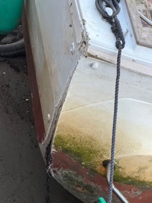 IMG_4249.jpeg IMG_4249.jpeg