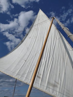 Sail.jpg