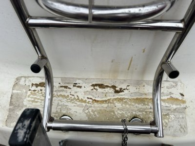 IMG_6843 Medium.jpeg