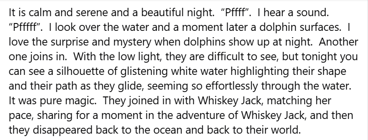 141 whiskey dolphins.png