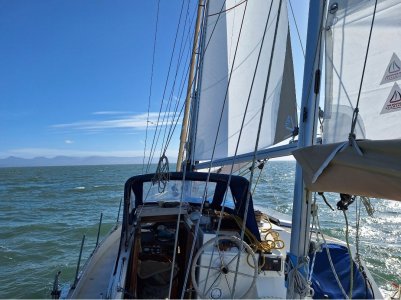 Screenshot_20260309_155751_Gallery.jpg Screenshot_20260309_155751_Gallery.jpg