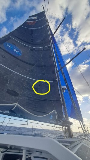 144 whiskey squid long.jpg