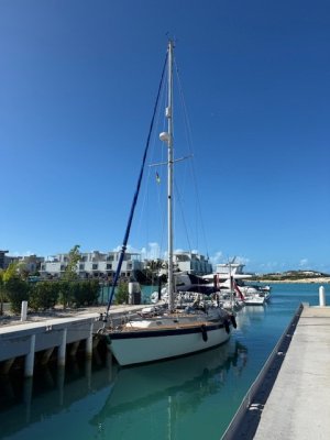 IMG_9905.jpeg IMG_9905.jpeg