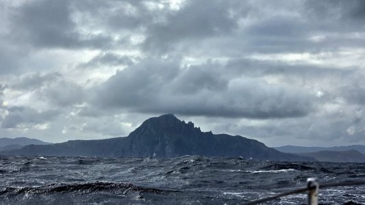 151 wilson horn retrospective.jpg