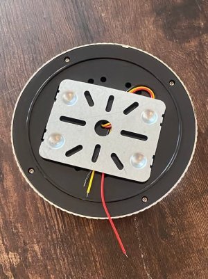 IMG_3081.jpeg IMG_3081.jpeg