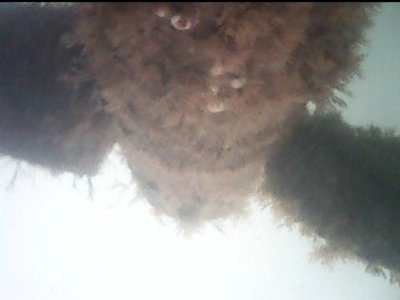 Screenshot_20260325_101015_Amazon Photos.jpg