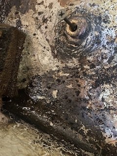 DB404F08-7F6B-4195-BDB5-A68CF20765C0.jpeg DB404F08-7F6B-4195-BDB5-A68CF20765C0.jpeg