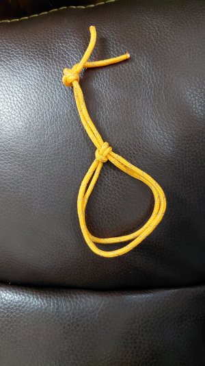 Shackle 1 20260327_211315.jpg