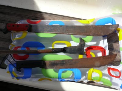 P1080305.jpg P1080305.jpg