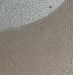 IMG_0737.jpeg IMG_0737.jpeg