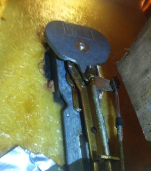 Screenshot_20260330_200358_Amazon Photos.jpg