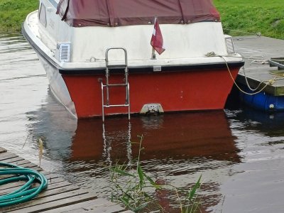 Primor at home 13 Oct 2025 (2).jpg