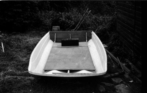 Dory at Brynsiriol.jpg Dory at Brynsiriol.jpg