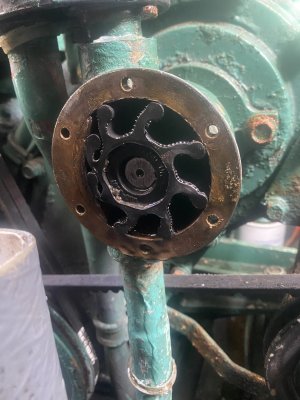 IMG_1460.jpeg IMG_1460.jpeg