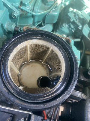 IMG_1461.jpeg IMG_1461.jpeg