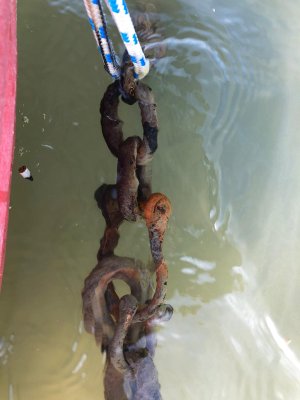 PHOTO-2020-03-22-15-27-26 (002).jpg