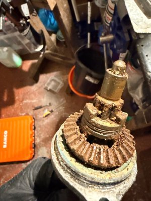 IMG_0520.jpeg IMG_0520.jpeg