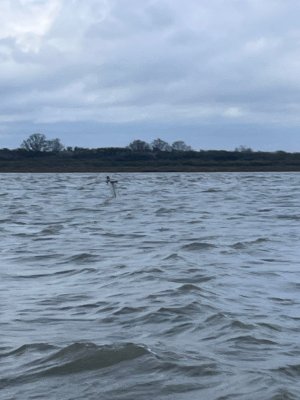 WhatsApp Image 2026-04-04 at 14.22.51.jpeg