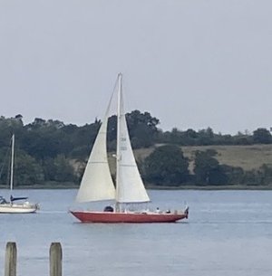 IMG_2254.jpeg IMG_2254.jpeg