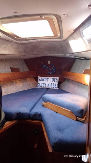 WhatsApp Image 3.jpeg