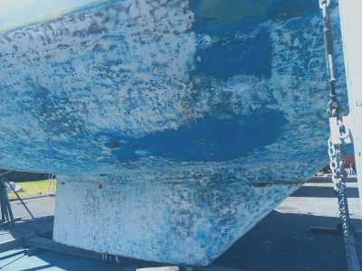 WhatsApp Image 2026-03-08 at 06.08.31.jpeg