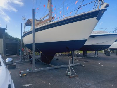 WhatsApp Image 2026-04-07 at 14.11.07 (1).jpeg