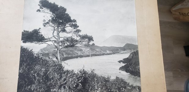 20260409_163934.jpg 20260409_163934.jpg