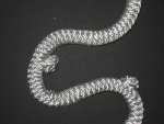 herniated rope low res.jpg