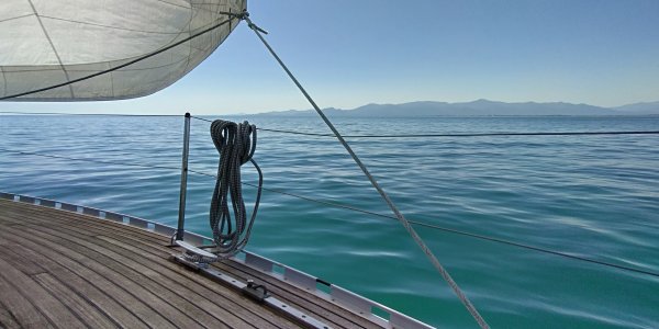 IMG_20260410_122646_HDR.jpg IMG_20260410_122646_HDR.jpg