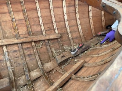 IMG_5809.jpeg IMG_5809.jpeg