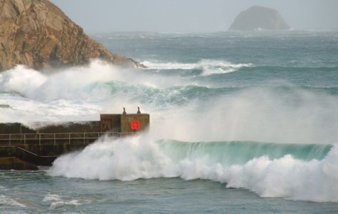 # January Storm (1).JPG