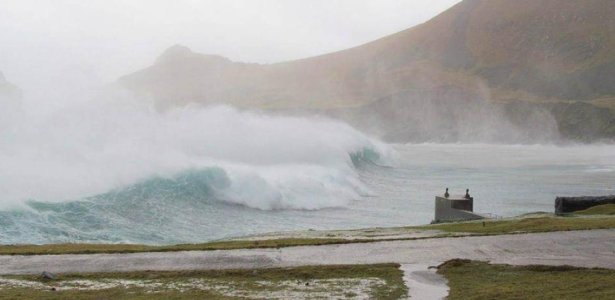 # January Storm (2).JPG