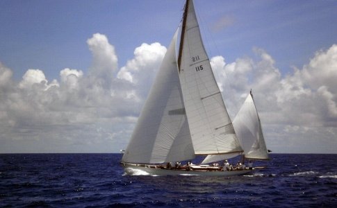 Stormy reaching 3.JPG