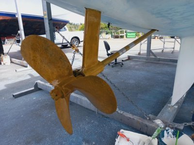 WhatsApp Image 2026-03-08 at 06.08.31 (1).jpeg